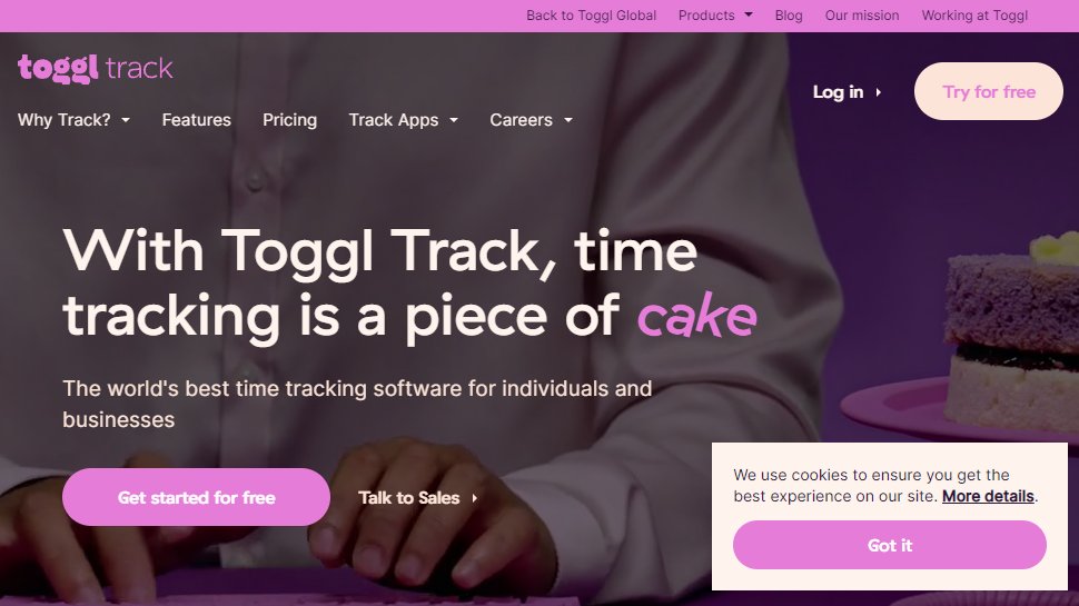 Website screenshot for Toggl Track