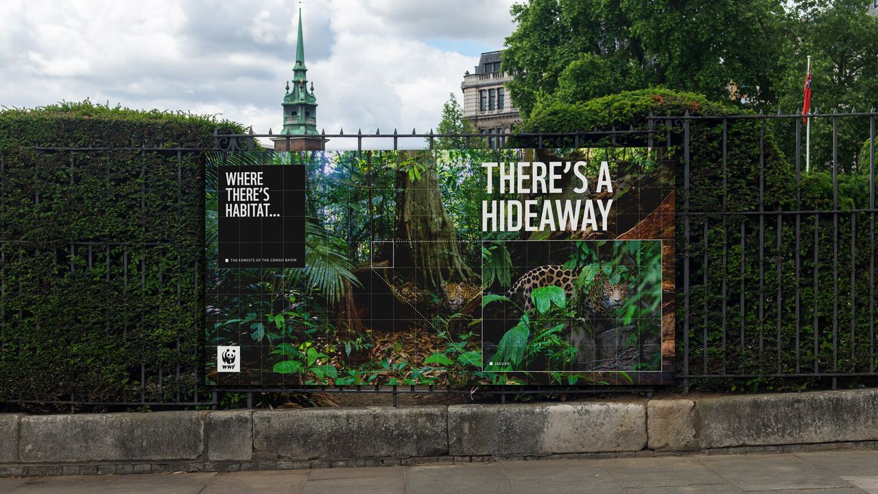 WWF images