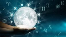 Moon signs: Astrological Zodiac horoscope wheel. The power of the universe. - stock photo