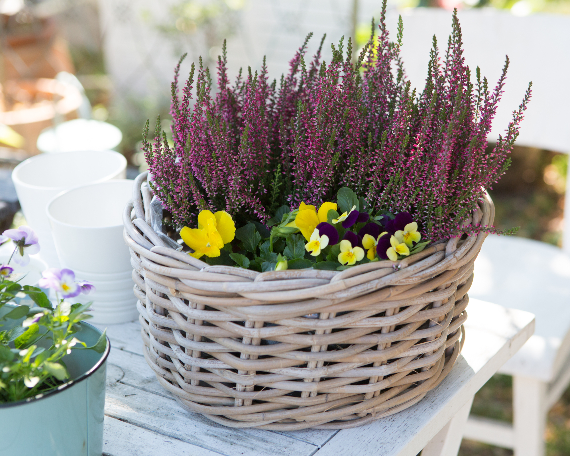 basket of heather on table in garden