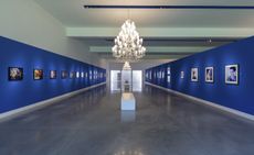'Araki' exhibition on view at the Bisazza Fondazione. 