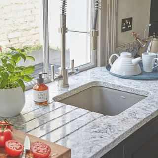 Basil plant growing in pot on kitchen windowsill next to sink