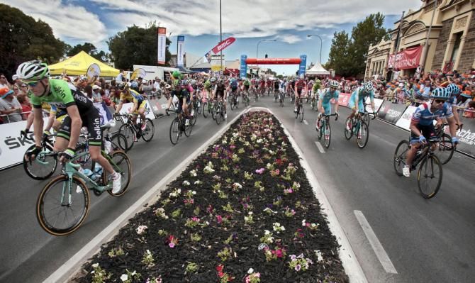 traffic furniture splits the peloton
