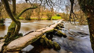 Stone bridge over woodland stream, framed by trees