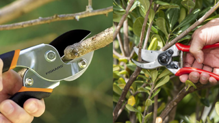 Anvil and Bypass pruning shears