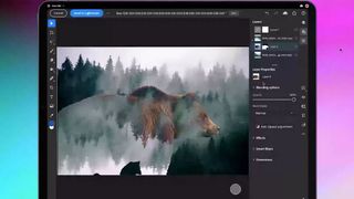 Adobe Photoshop for iPad