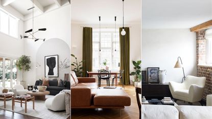 Organic modern living room ideas
