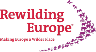 Rewilding Europe Award 2024 competition logo