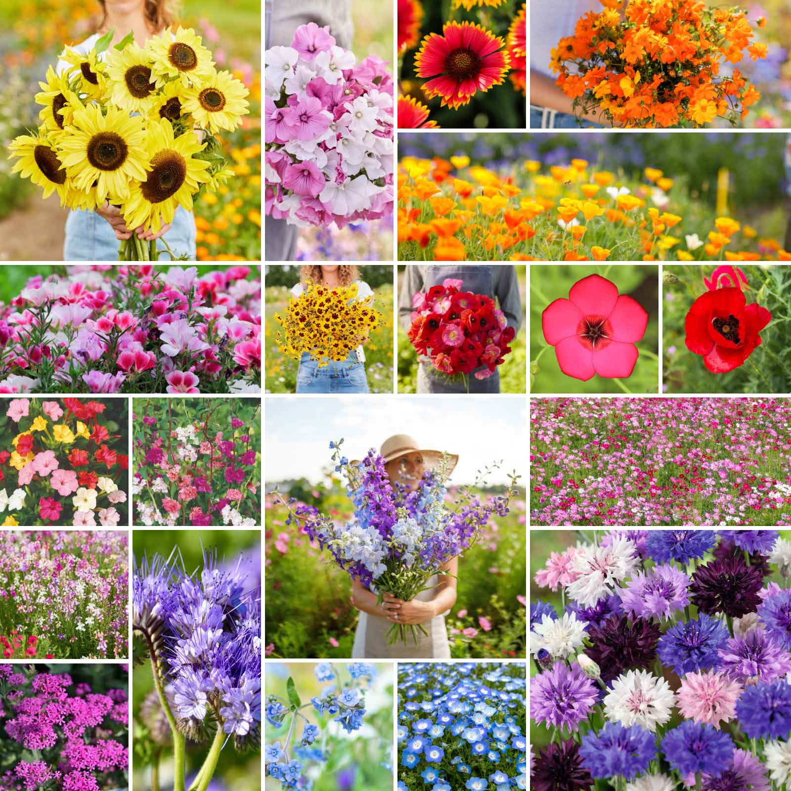 grid of many flowers
