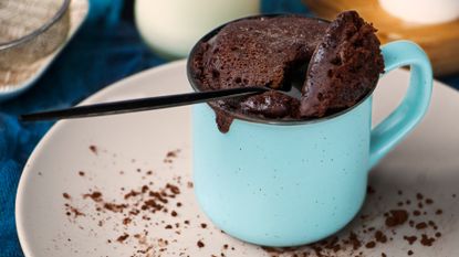 chocolate protein mug cake 