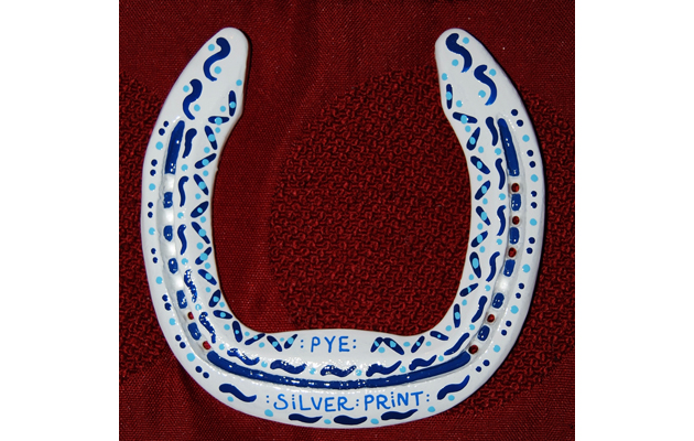 Painted horseshoe