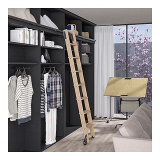 walk-in closet with rolling library ladder