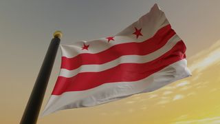 Flag of the US District of Columbia Washington DC