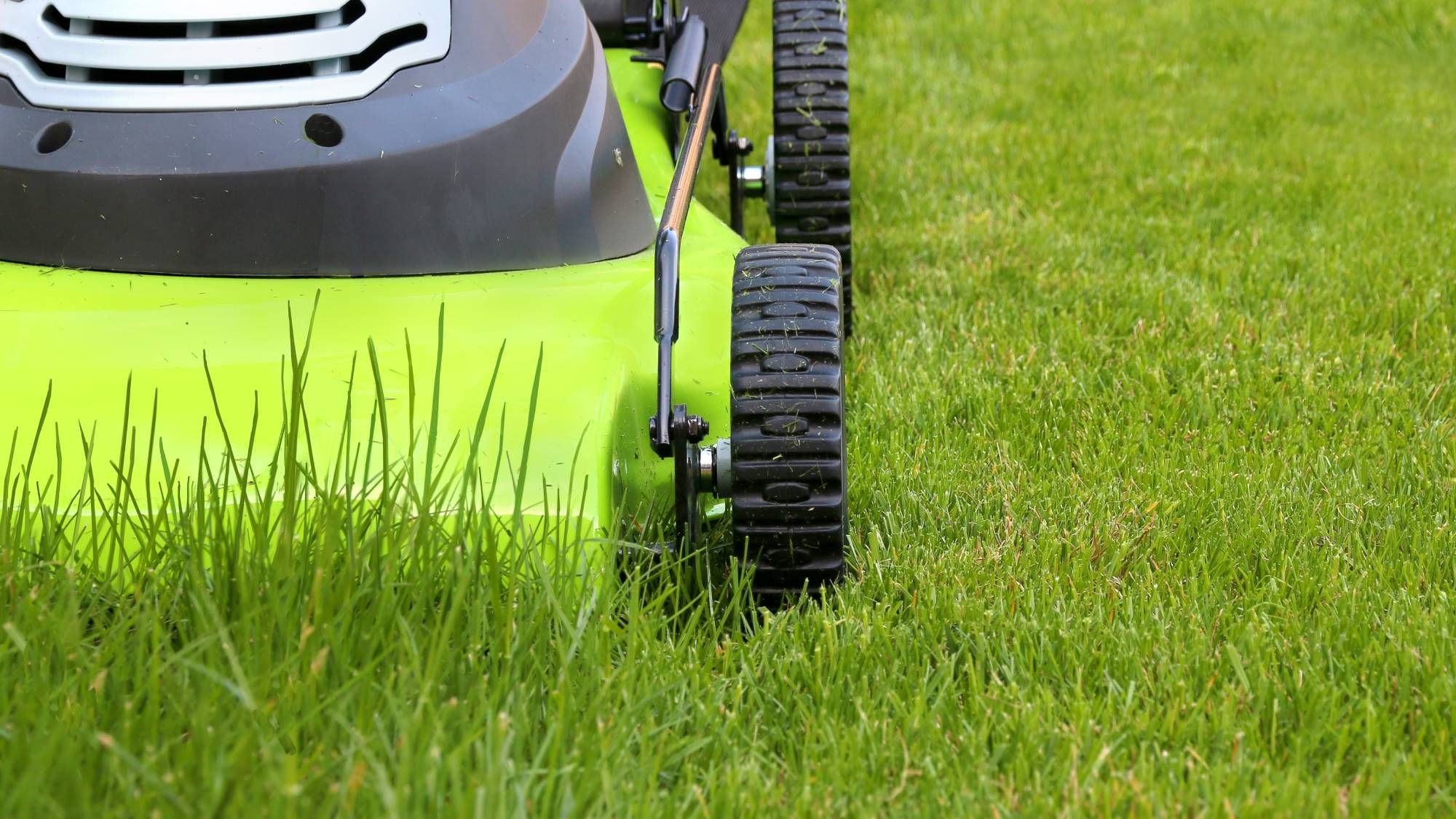 Walmart is Clearing Out Garden Tools – 27 Great Deals That Deserve a Spot in Your Shed