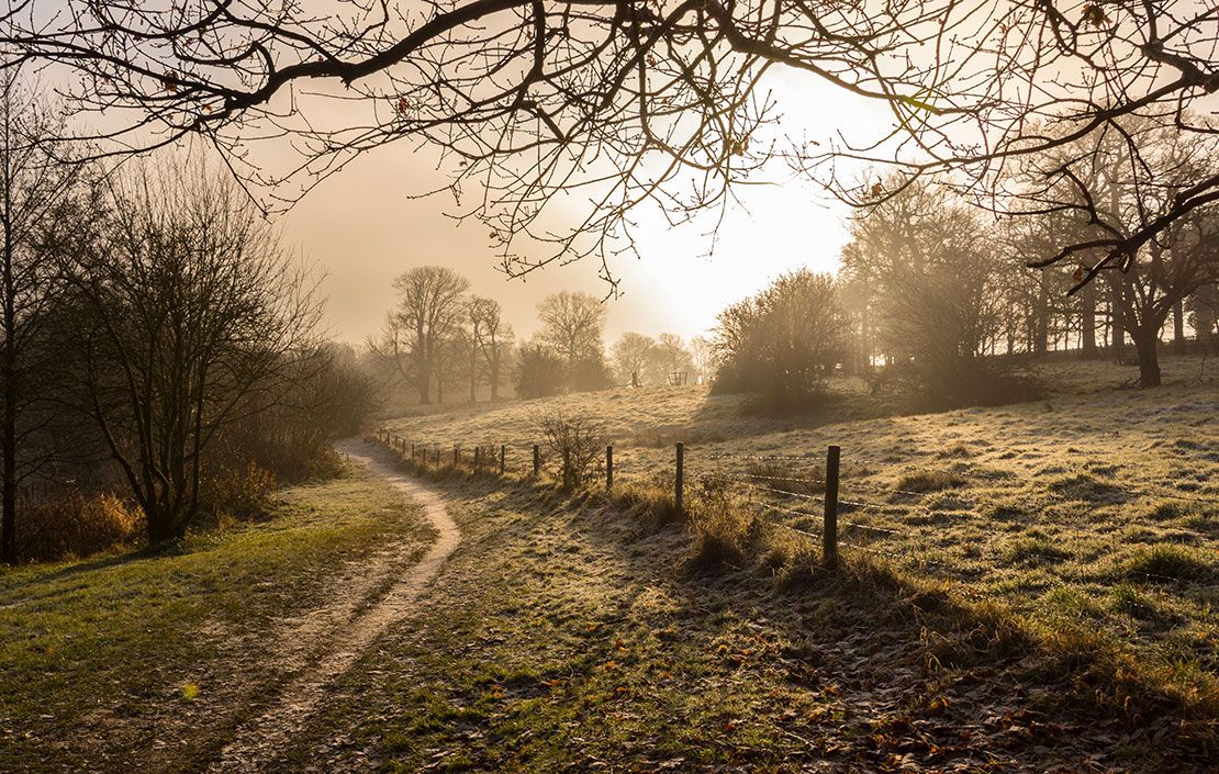 Frosty sunrise with footpath through the woods