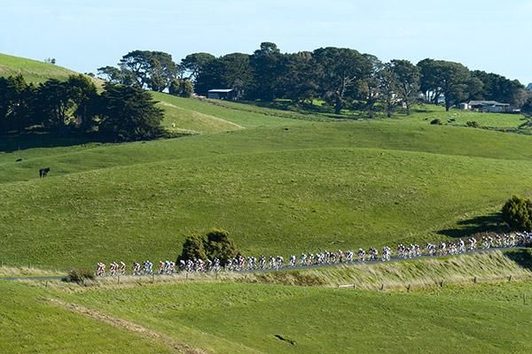 The peloton snakes its way down through the hills near Poowong.
