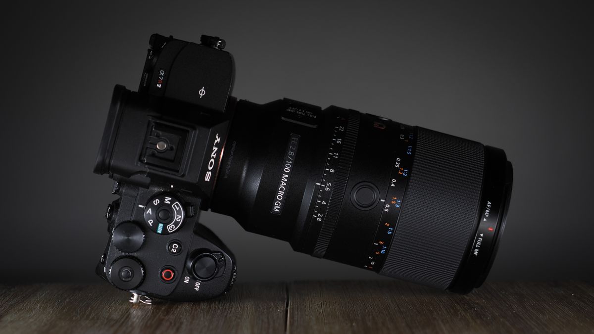 Sony FE 100mm f/2.8 Macro GM OSS on a wooden surface