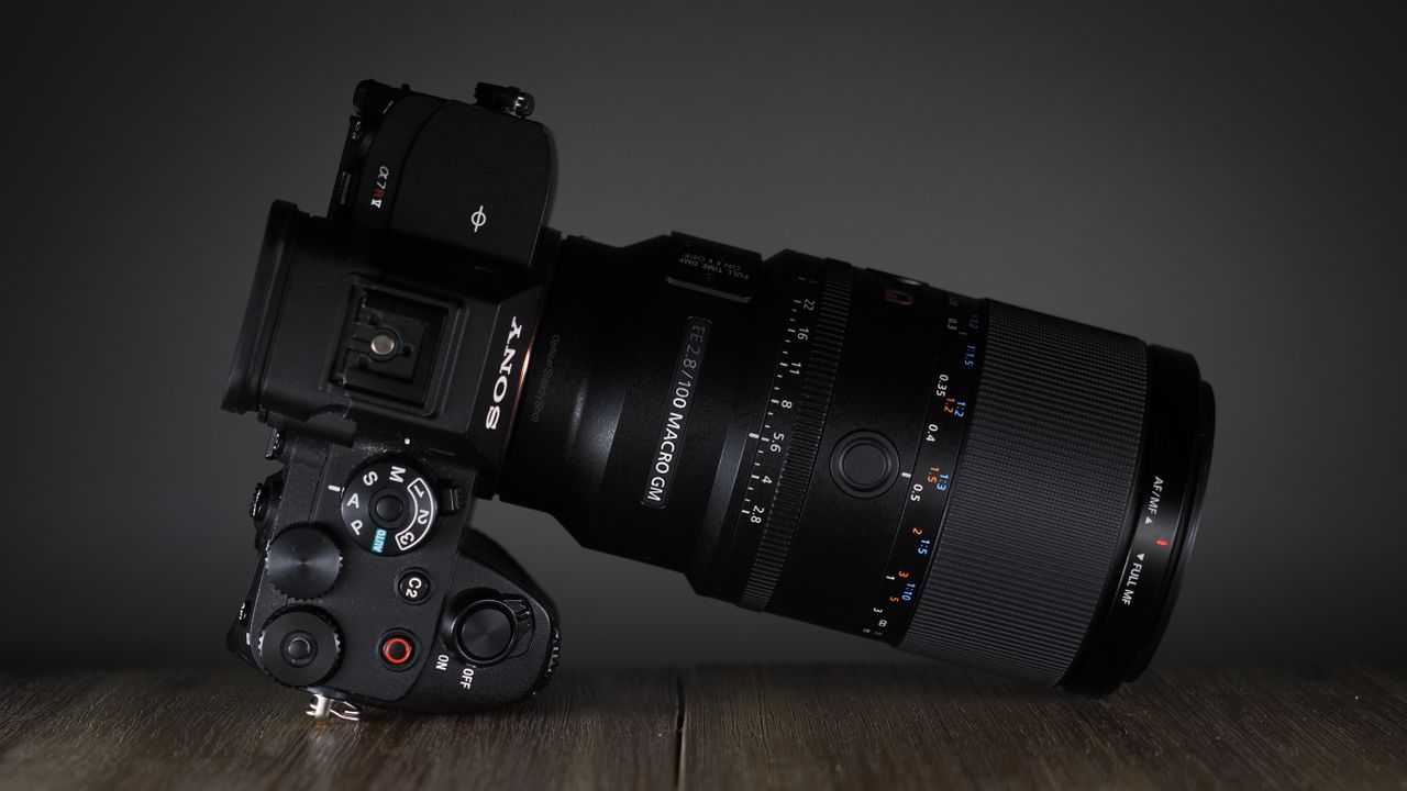 Sony FE 100mm f/2.8 Macro GM OSS on a wooden surface