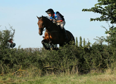 mother/daughter share horses for sale