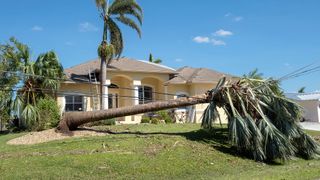 Tree damaging power line outside house during power outage