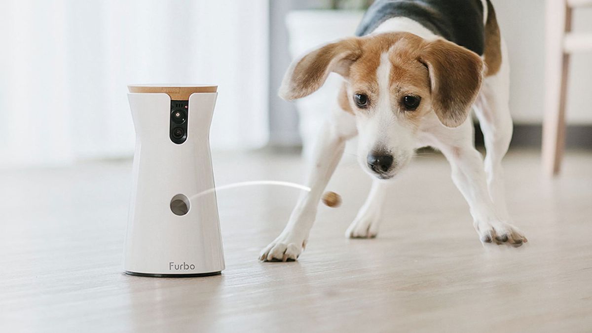 camera that dispenses dog treats