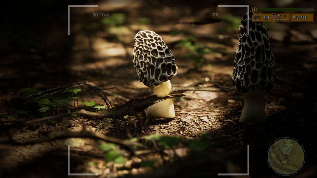 Morels: The Hunt 2 screenshot