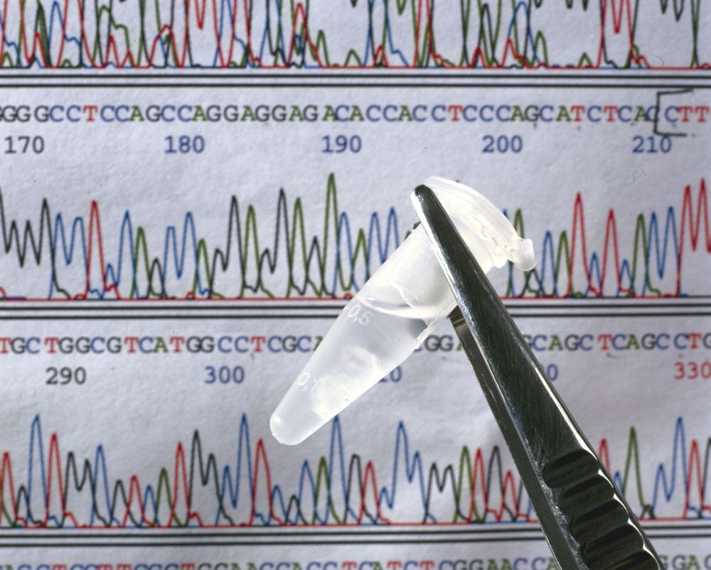 A sample of DNA in front of a DNA sequence.