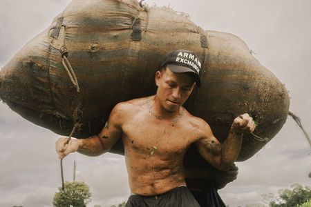 Topless man carrying a huge bag of cocoa leaves on his back