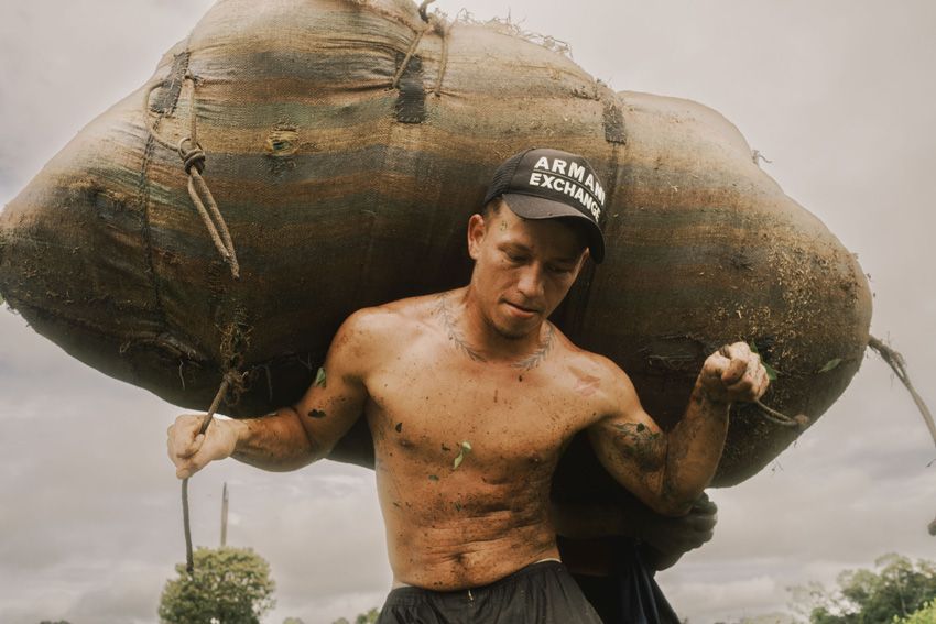 techradar.com - Timothy Coleman - These are the stunning images of the Sony World Photography Awards 2026 - and there are some surprising camera choices among the winners