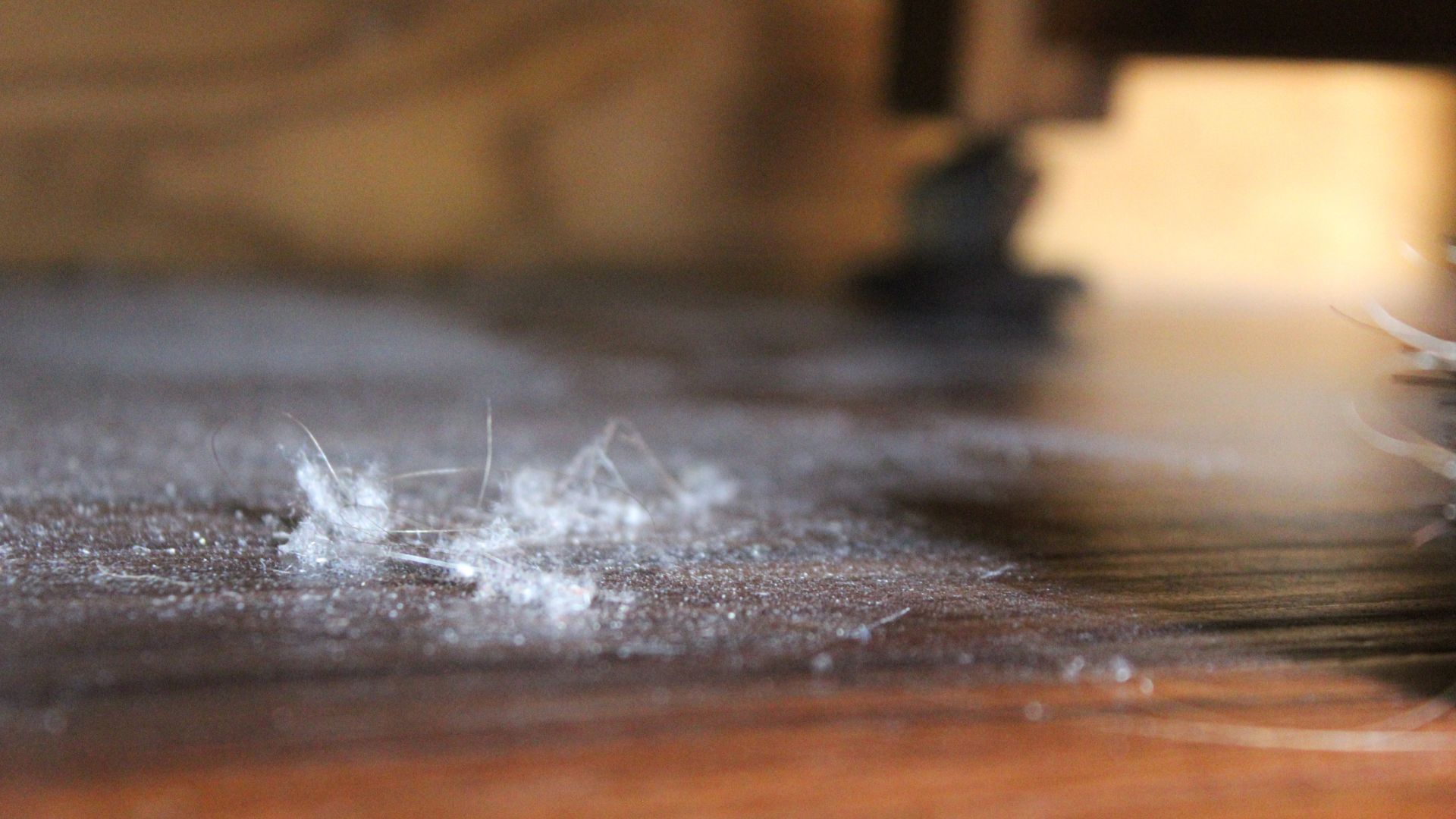 picture of dist and lint under furniture