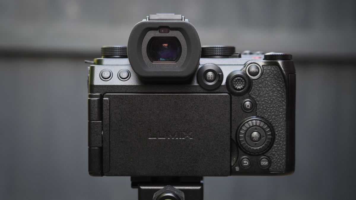 Panasonic Lumix S5 Iix Review 