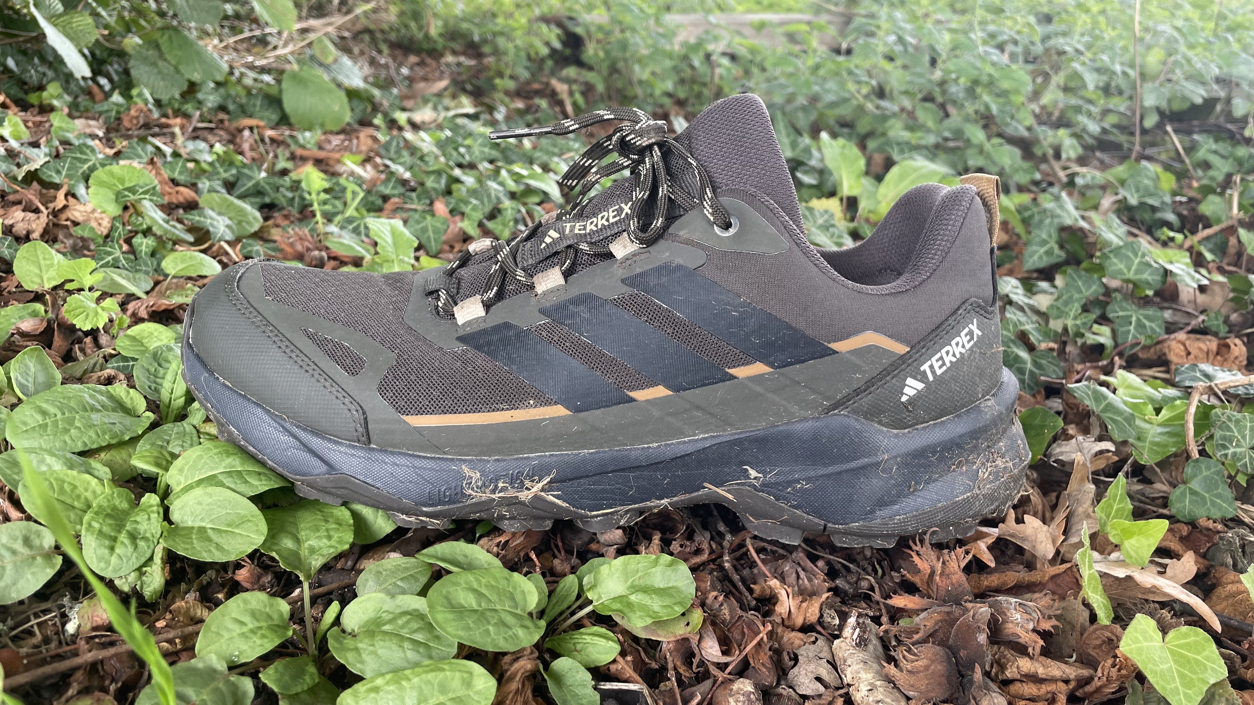 Adidas Terrex Skychaser AX5