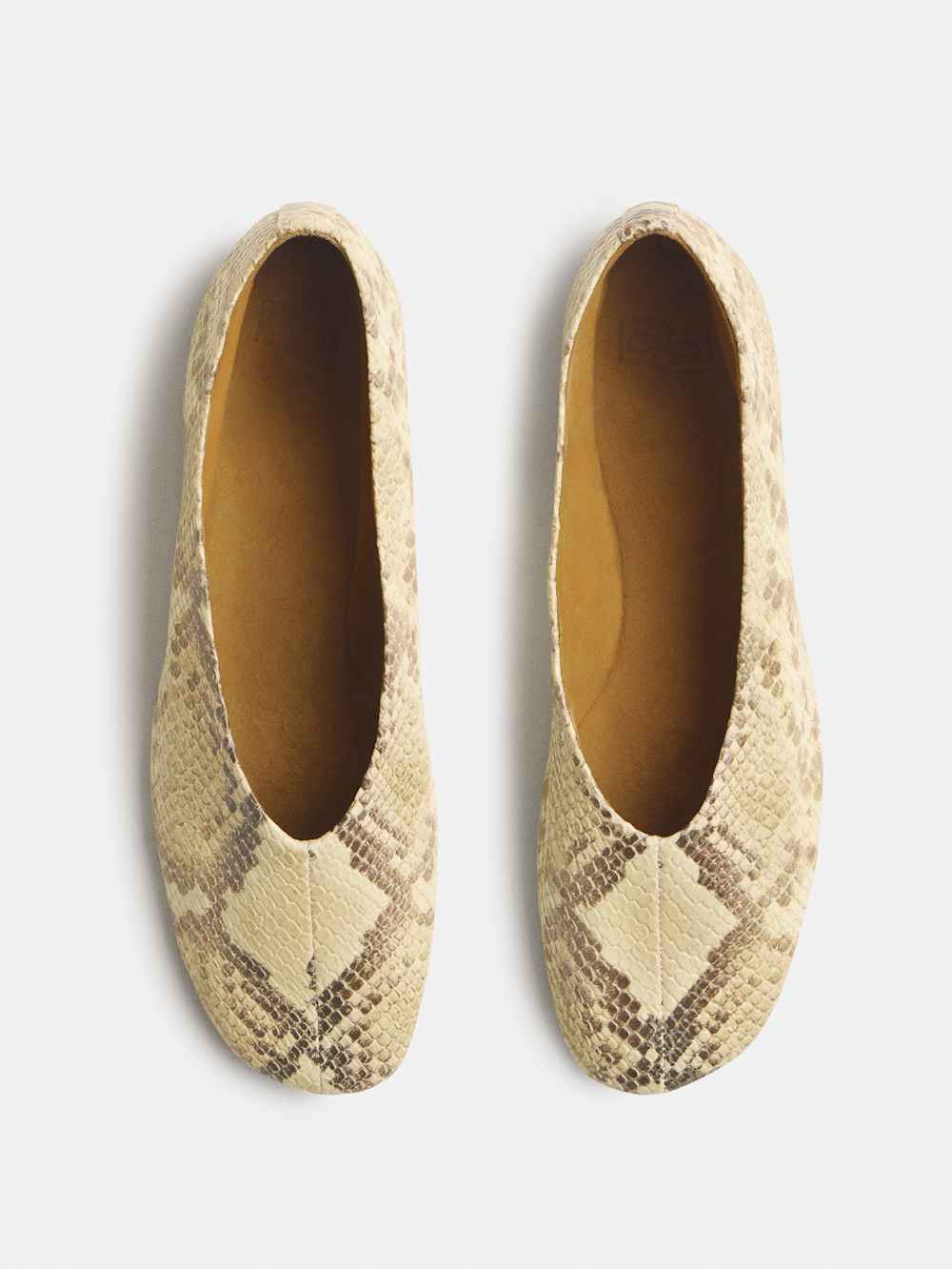 Blaine Flat