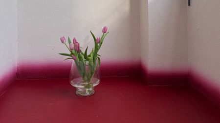 Image of a clear vase with pink tulips in it on a white balcony white a gradient skirting board and a floor painted red.