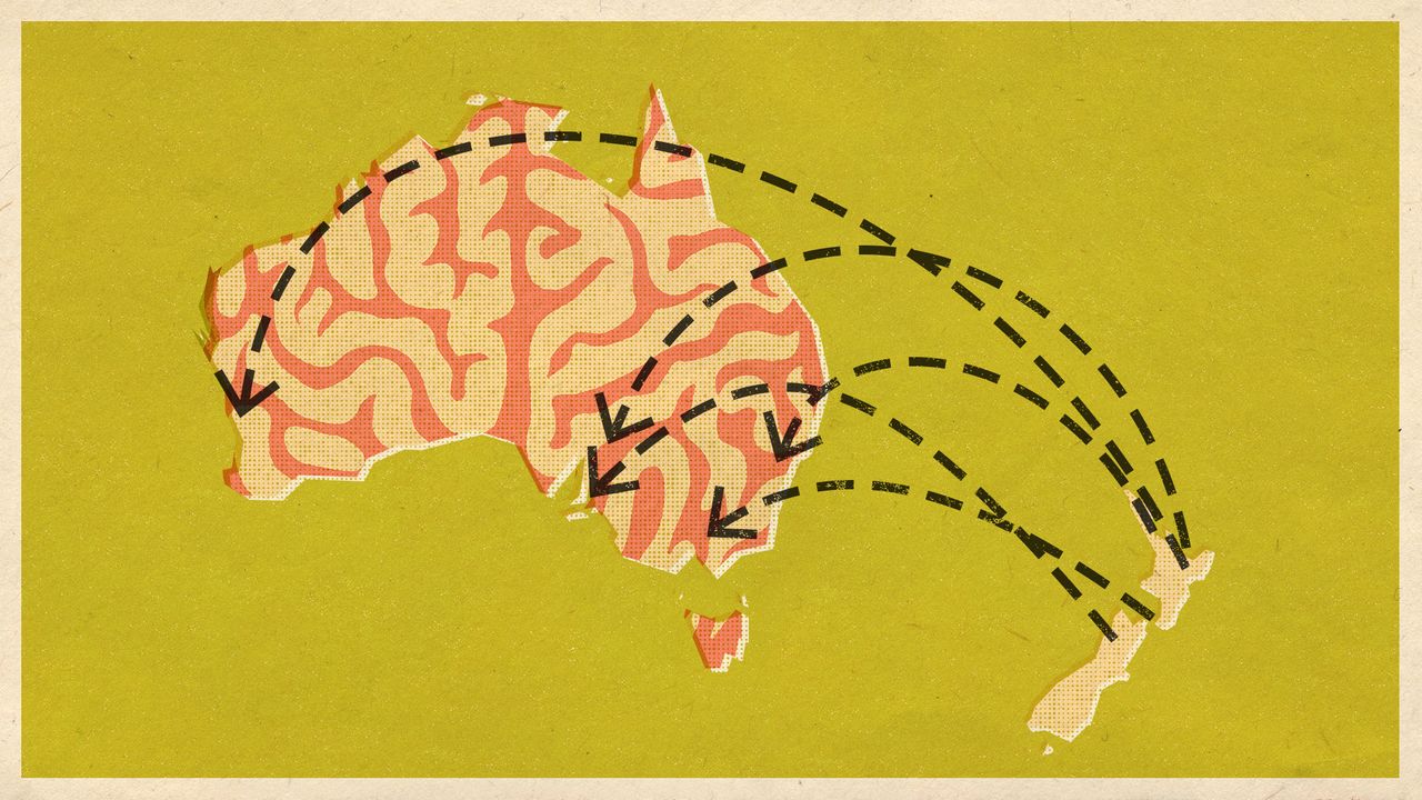 Illustrative collage of New Zealand and Australia on a bright green background, with dashed arrows pointing from the former to the latter. The shape of Australia is filled with the pattern of a brain&#039;s surface, rendered in pink and white.