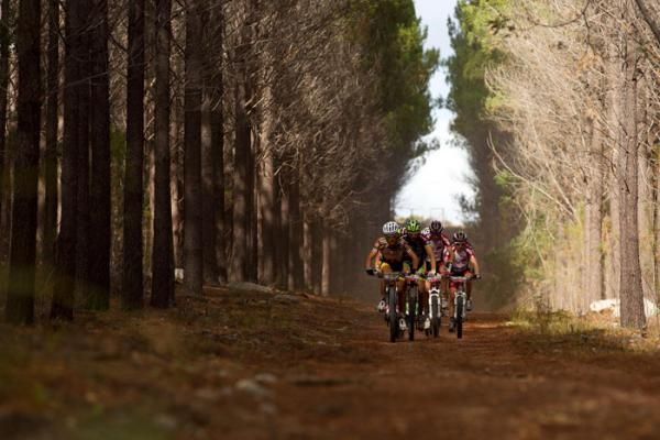 Burry Stander leads the pack into Lebanon plantation
