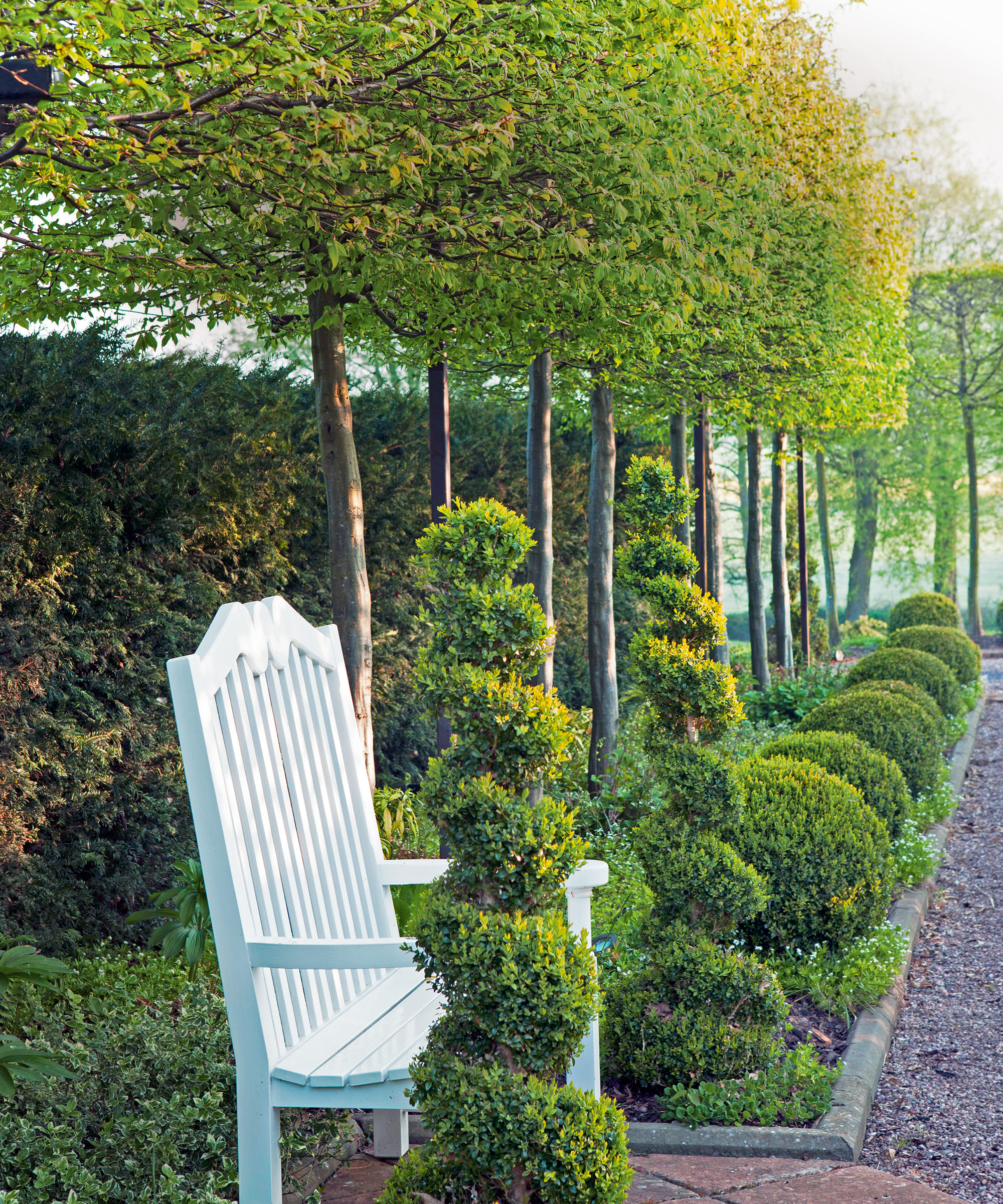 White wooden bench with green bushes, and trees