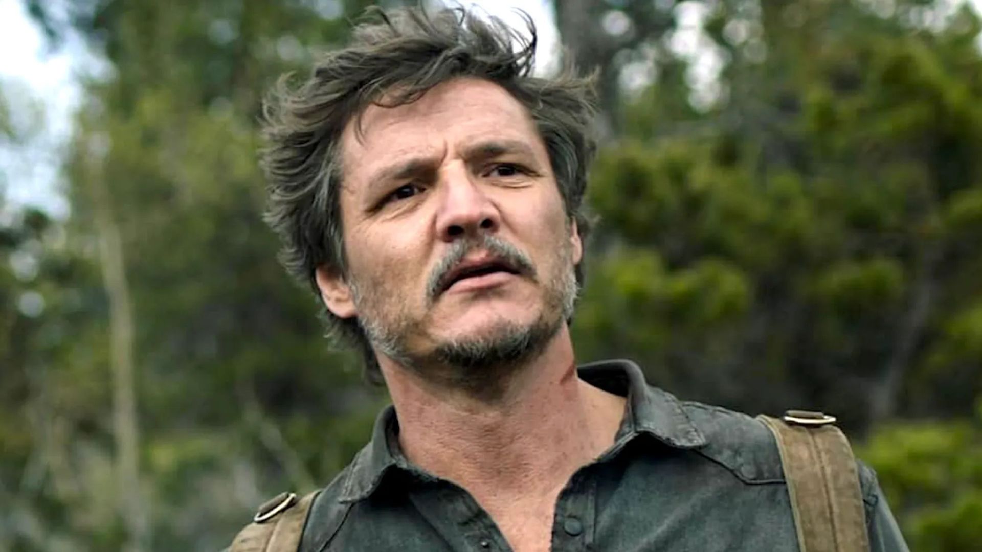 Pedro Pascal looks on offscreen