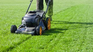 A lawn mower cutting the grass