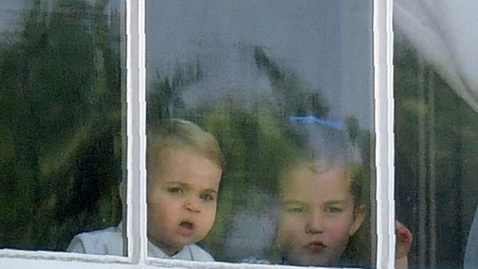 Window, Child, Glass, Tree, Vacation, 