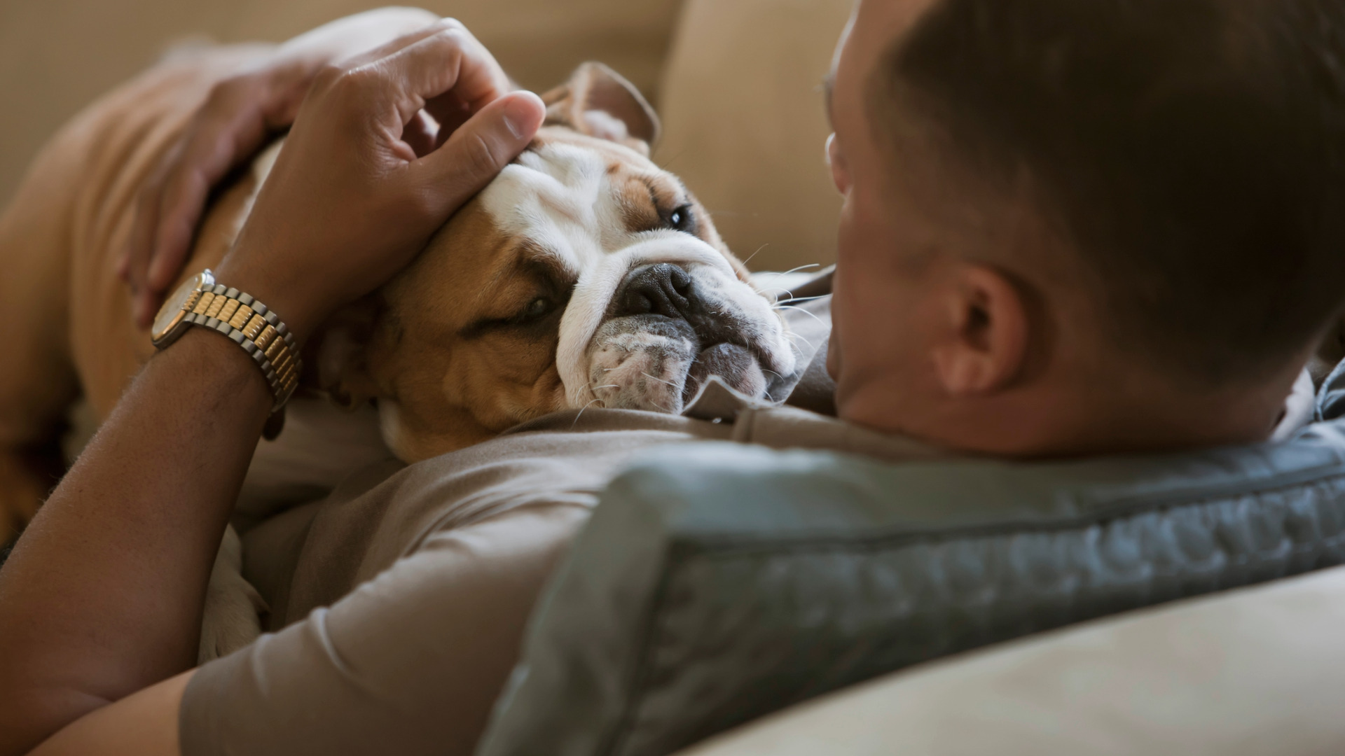 man snuggles with bulldog on the couch