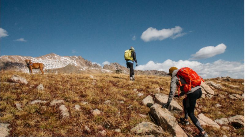 Hikers walking in the mountains