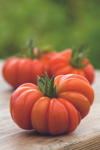 Kitchen garden ideas - tomatoes