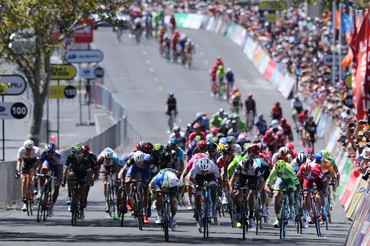 How low can you go, Caleb Ewan gets his chin over the stem as he sprints to victory