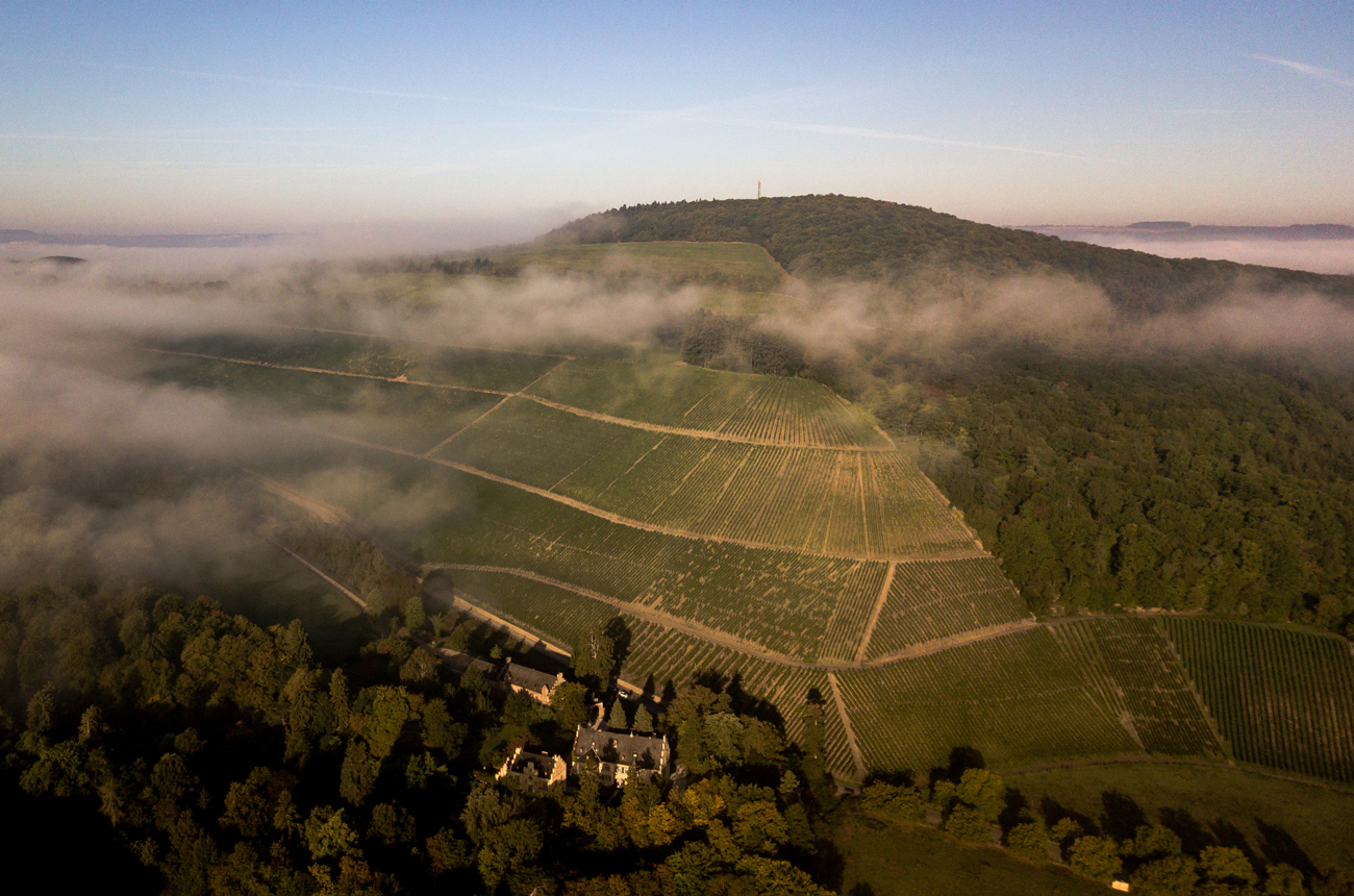 Image of the Gr&amp;uuml;nhaus vineyards