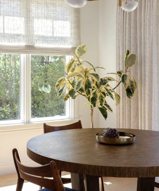 drapes vs blinds, small dining room space with blind on one window and drapes on another, mahogany table and chairs, plant