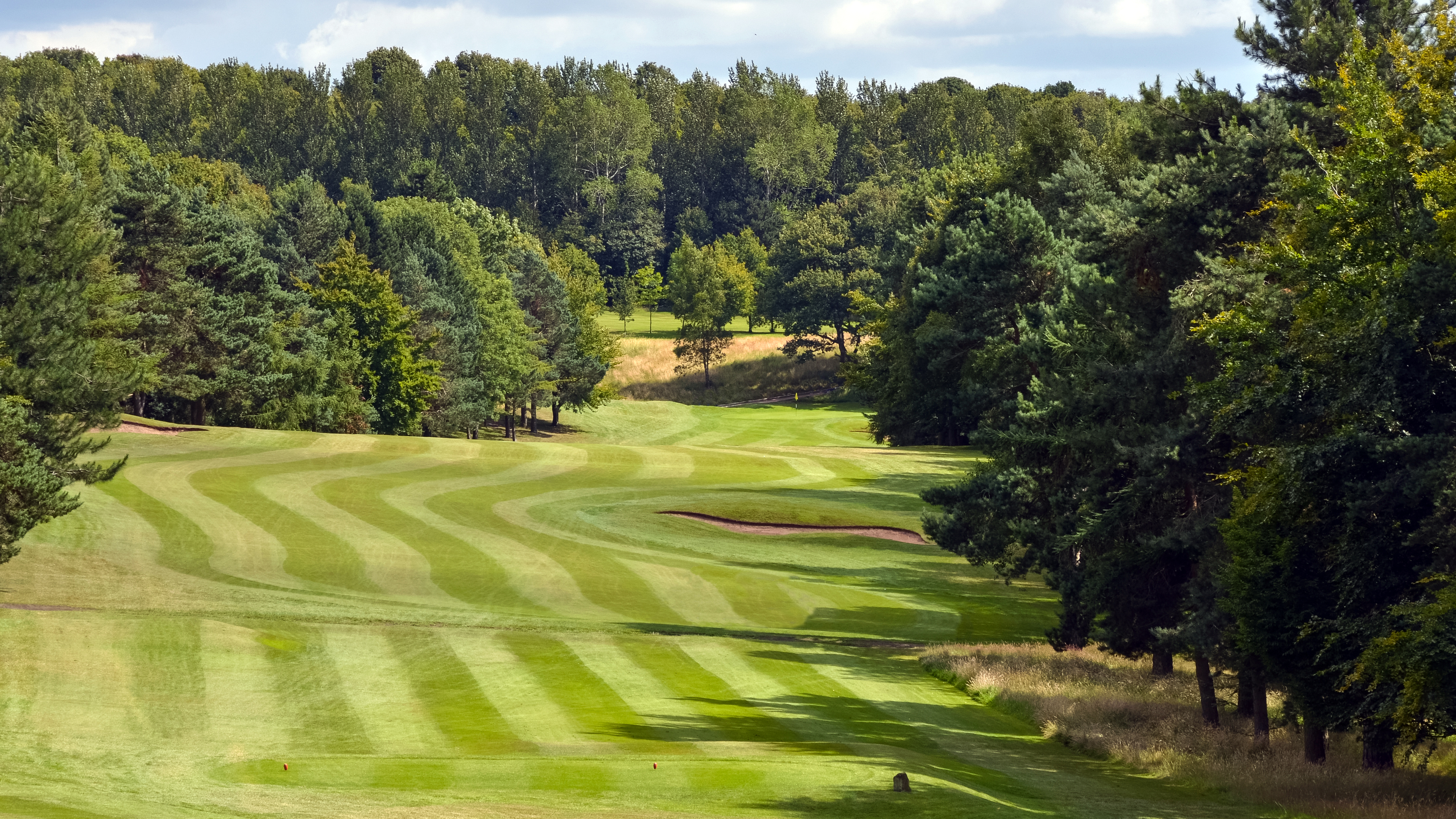 Abbeydale - Hole 6