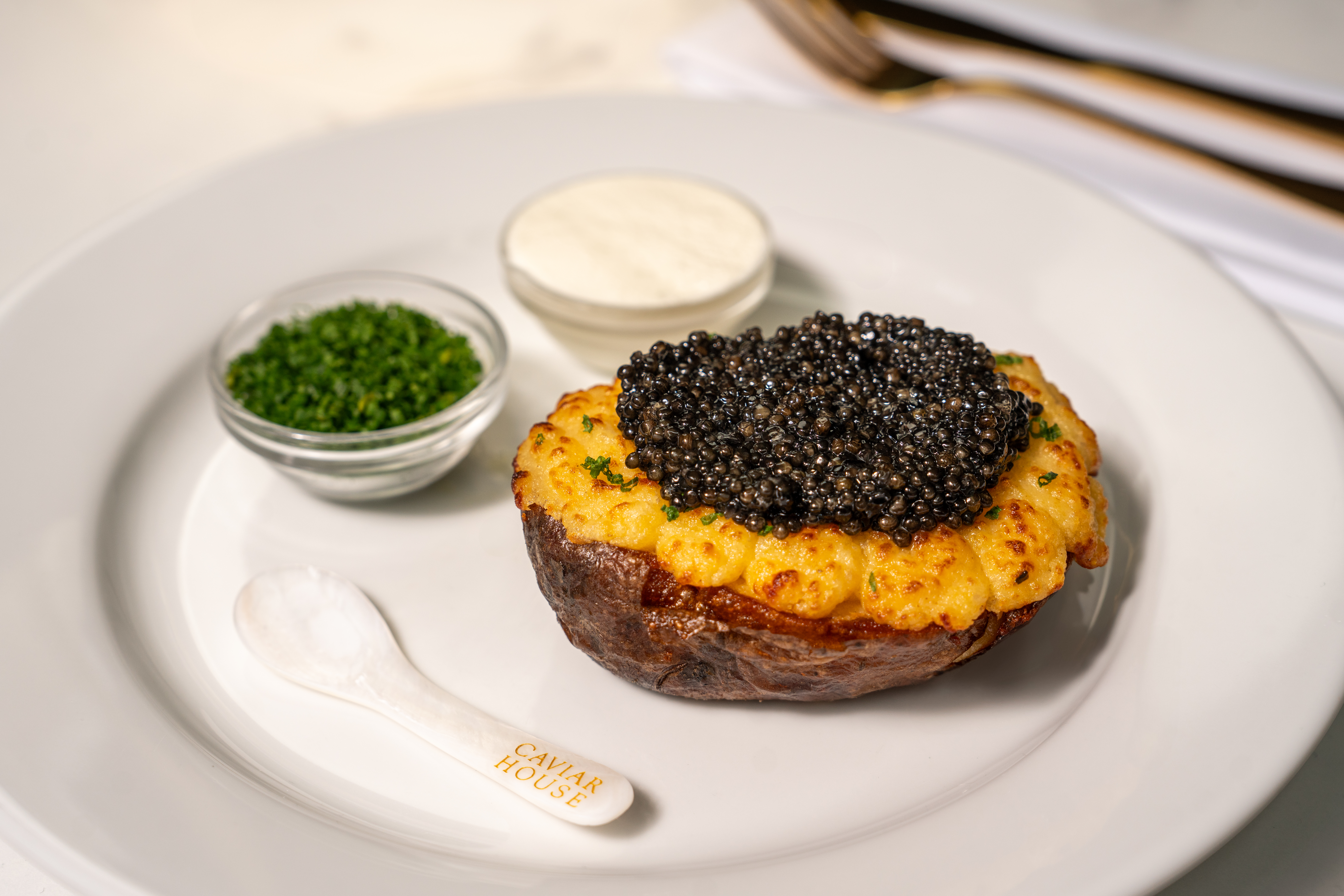 wallpaper editors picks: things to do in march