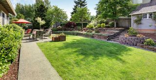 a backyard with lawn in the sunshine to suppport expert advice on how long should you water your lawn during the summer months