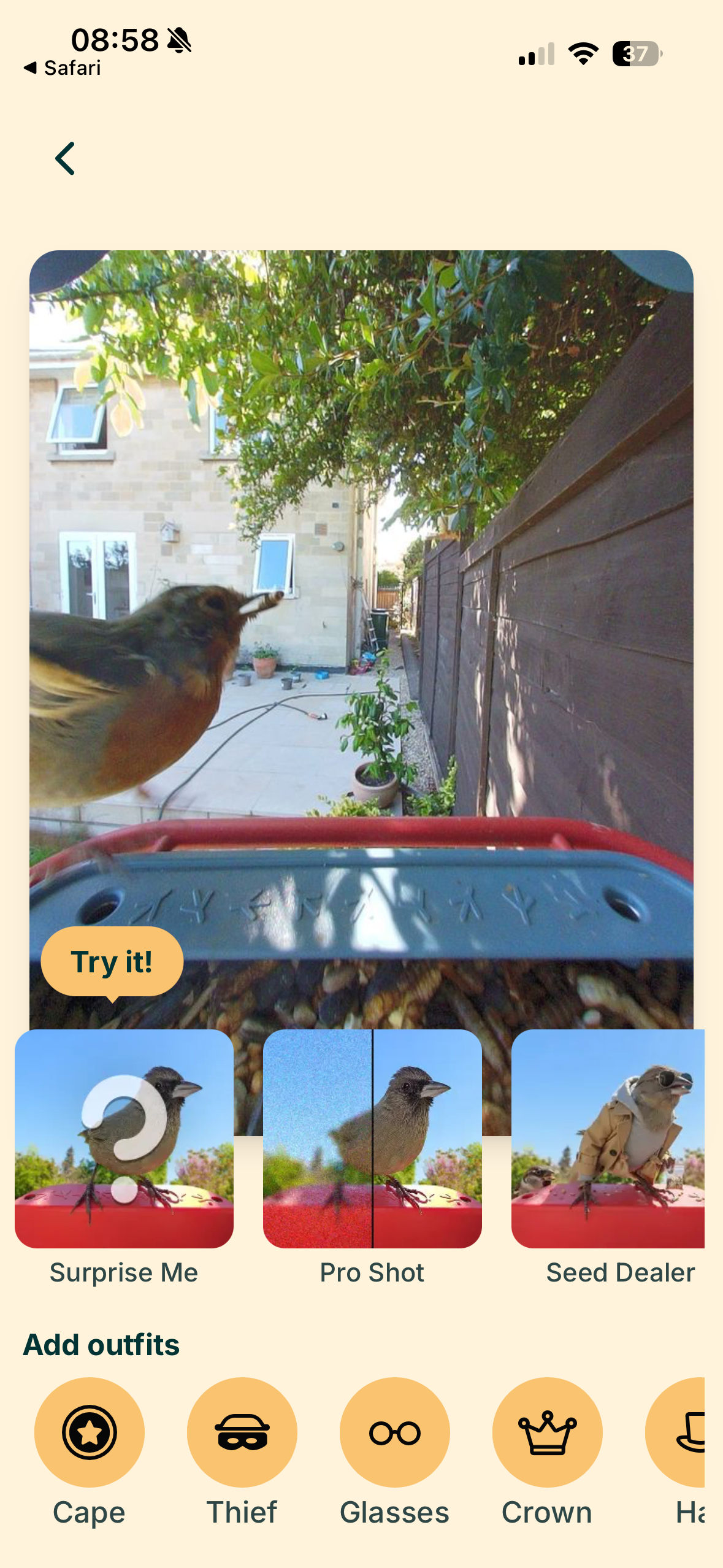 Screenshots from the Bird Buddy app